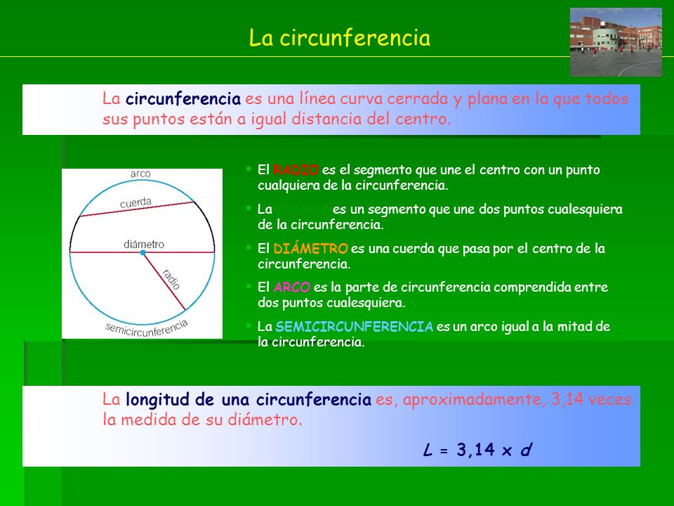 La circunferencia La circunferencia es una línea curva cerrada y plana en la que todos sus puntos están a igual distancia del centro.