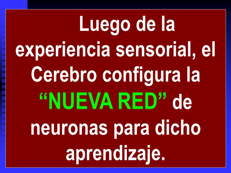 Luego de la experiencia sensorial, el Cerebro configura la NUEVA RED de neuronas para dicho aprendizaje.