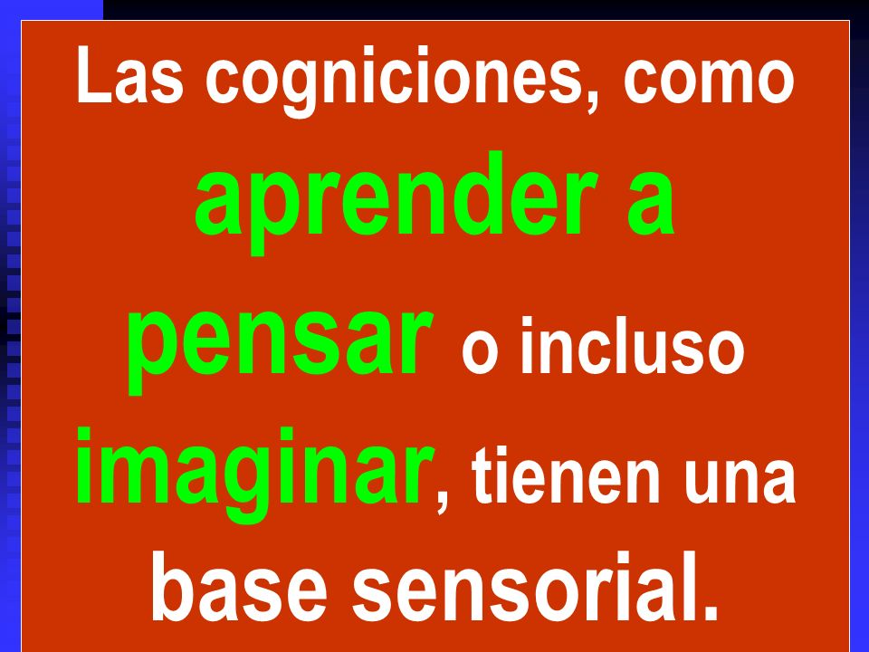 Las cogniciones, como aprender a pensar o incluso imaginar, tienen una base sensorial.