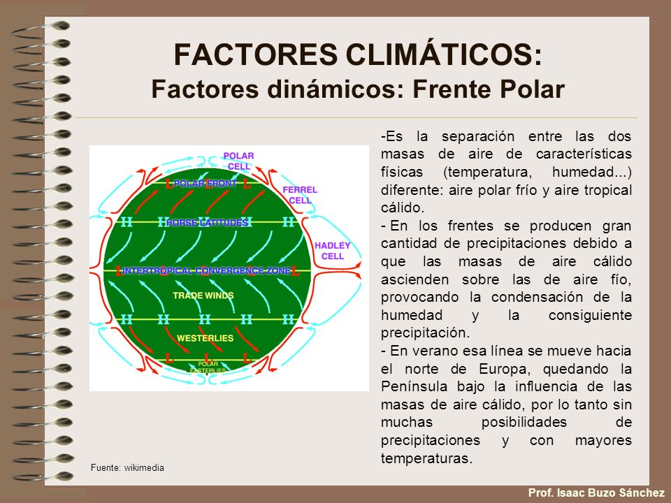 FACTORES CLIMÁTICOS: Factores dinámicos: Frente Polar