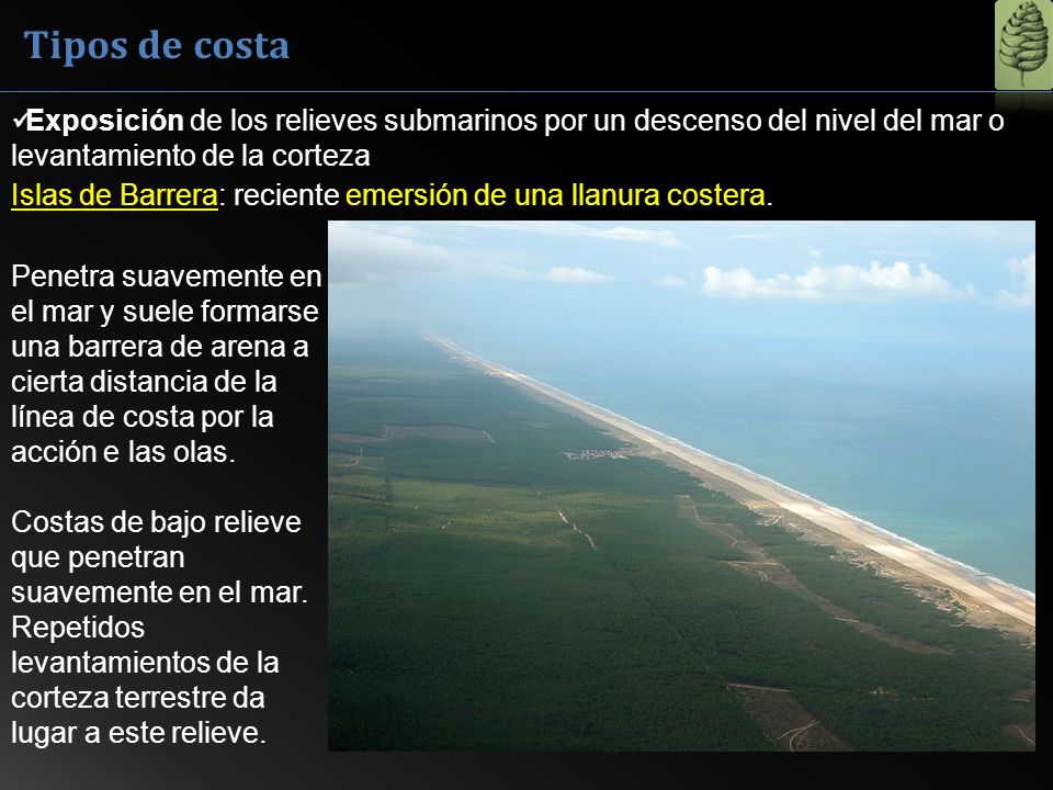 Tipos de costa Exposición de los relieves submarinos por un descenso del nivel del mar o levantamiento de la corteza.