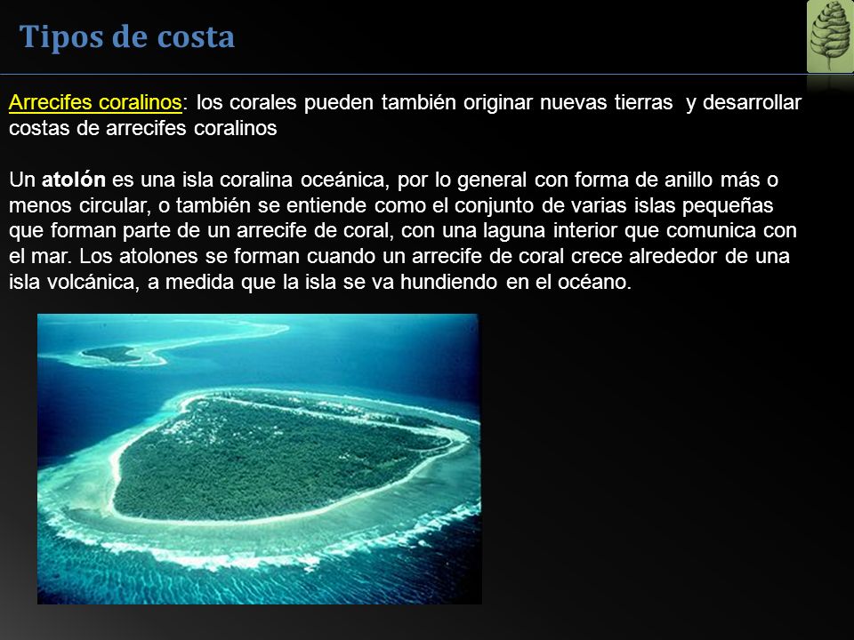 Tipos de costa Arrecifes coralinos: los corales pueden también originar nuevas tierras y desarrollar costas de arrecifes coralinos.