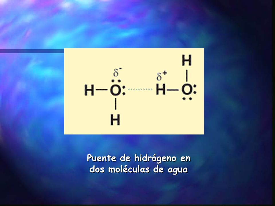 Puente de hidrógeno en dos moléculas de agua