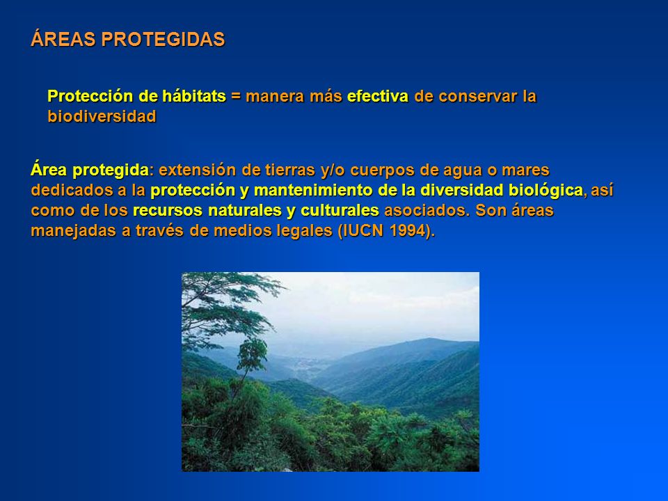 ÁREAS PROTEGIDAS Protección de hábitats = manera más efectiva de conservar la biodiversidad.