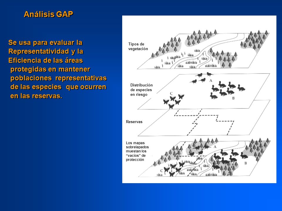 Análisis GAP Se usa para evaluar la Representatividad y la