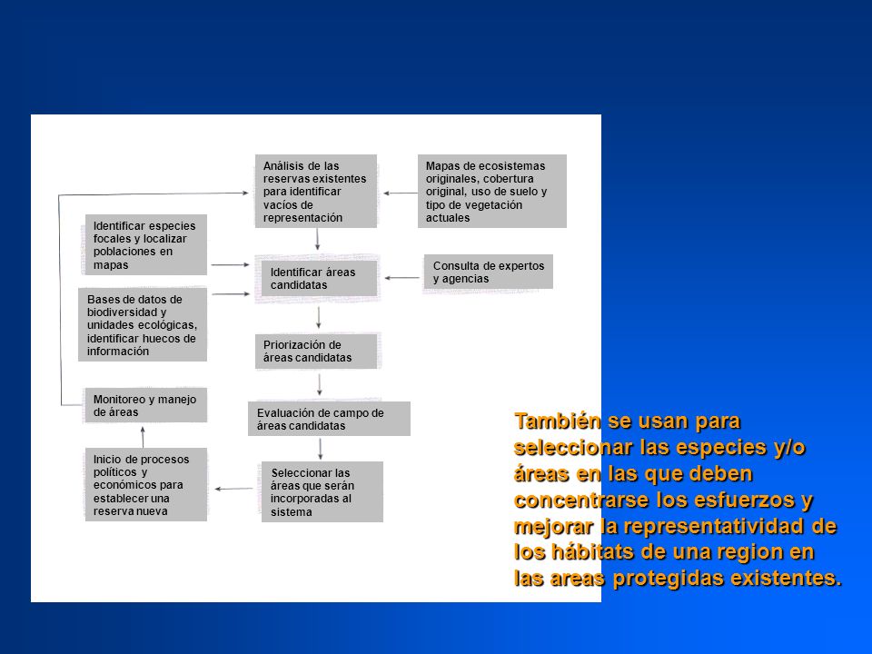 Análisis de las reservas existentes para identificar vacíos de representación