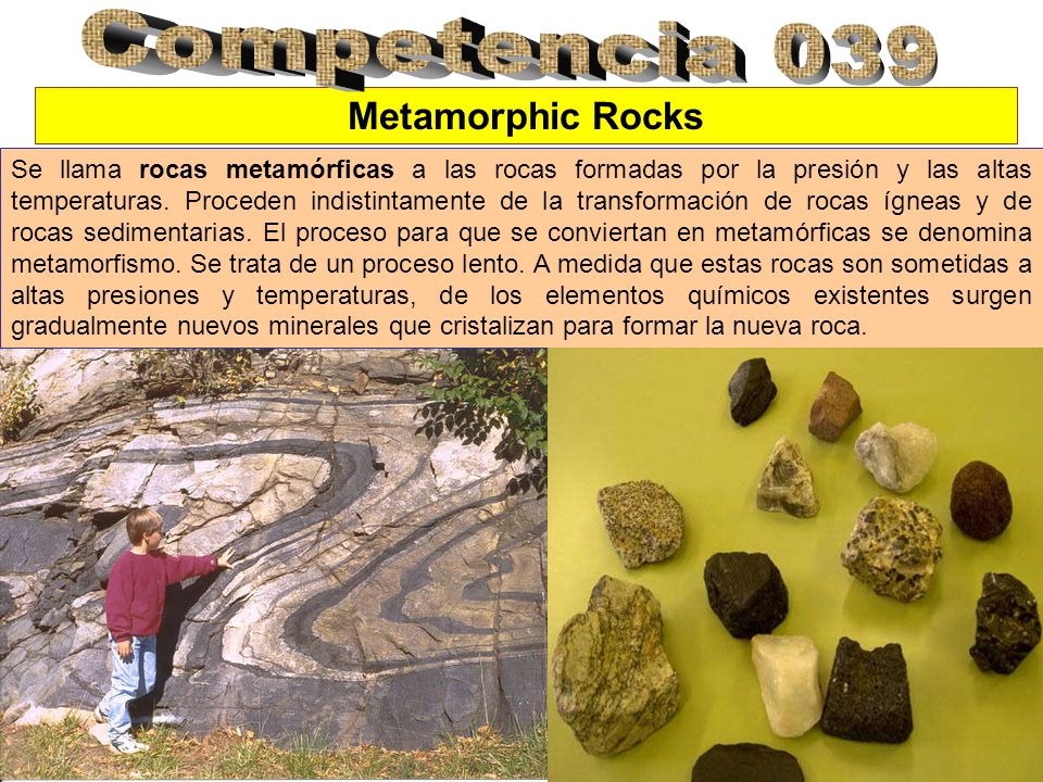 Competencia 039 Metamorphic Rocks