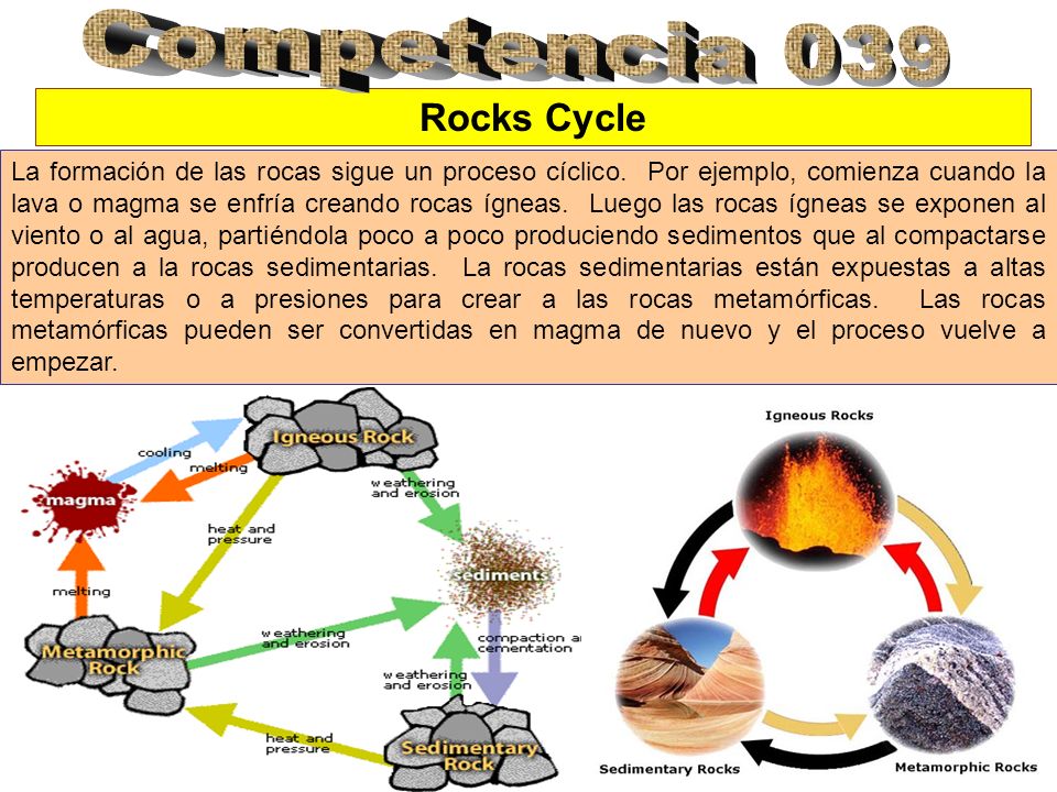 Competencia 039 Rocks Cycle