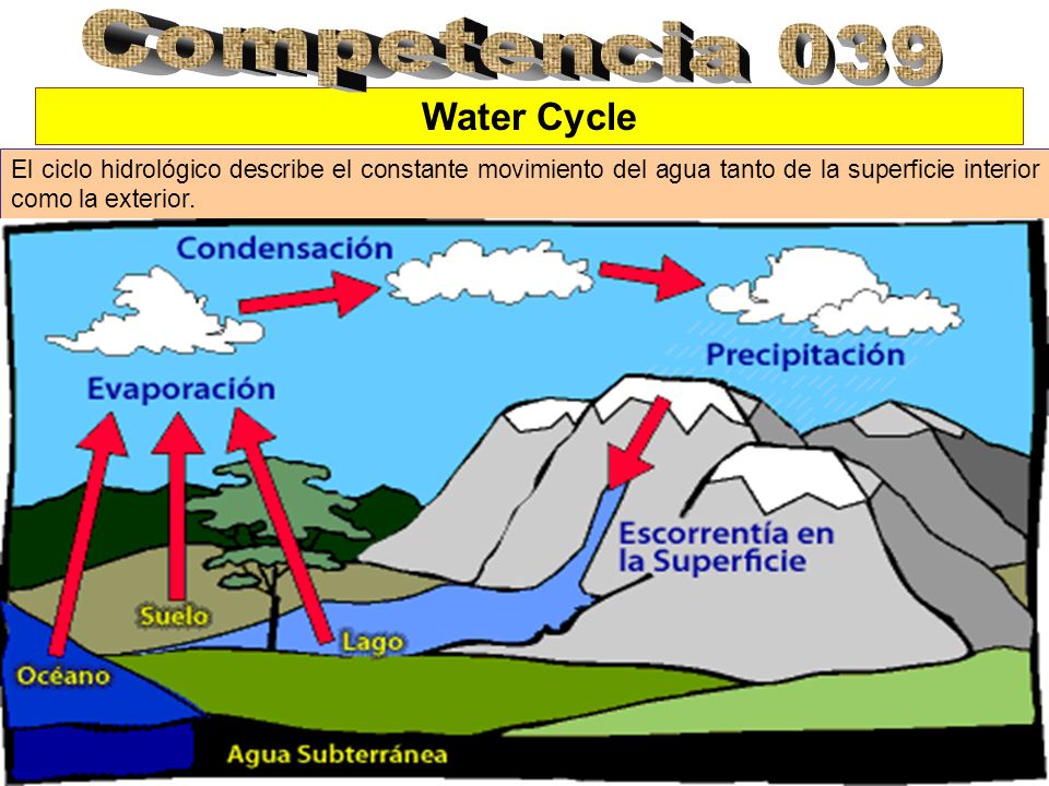 Competencia 039 Water Cycle