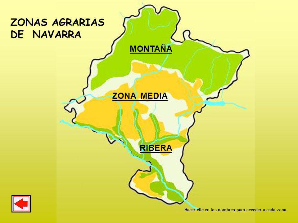 ZONAS AGRARIAS DE NAVARRA MONTAÑA ZONA MEDIA RIBERA
