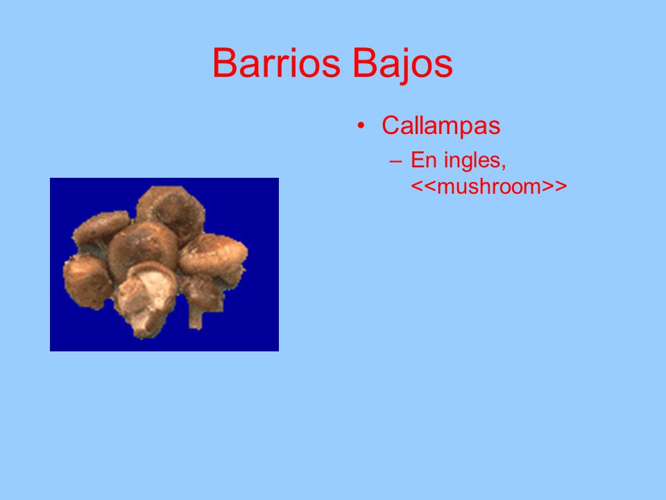 Barrios Bajos Callampas En ingles, <<mushroom>>