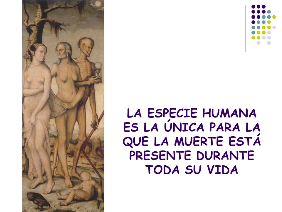 LA ESPECIE HUMANA ES LA ÚNICA PARA LA QUE LA MUERTE ESTÁ PRESENTE DURANTE TODA SU VIDA