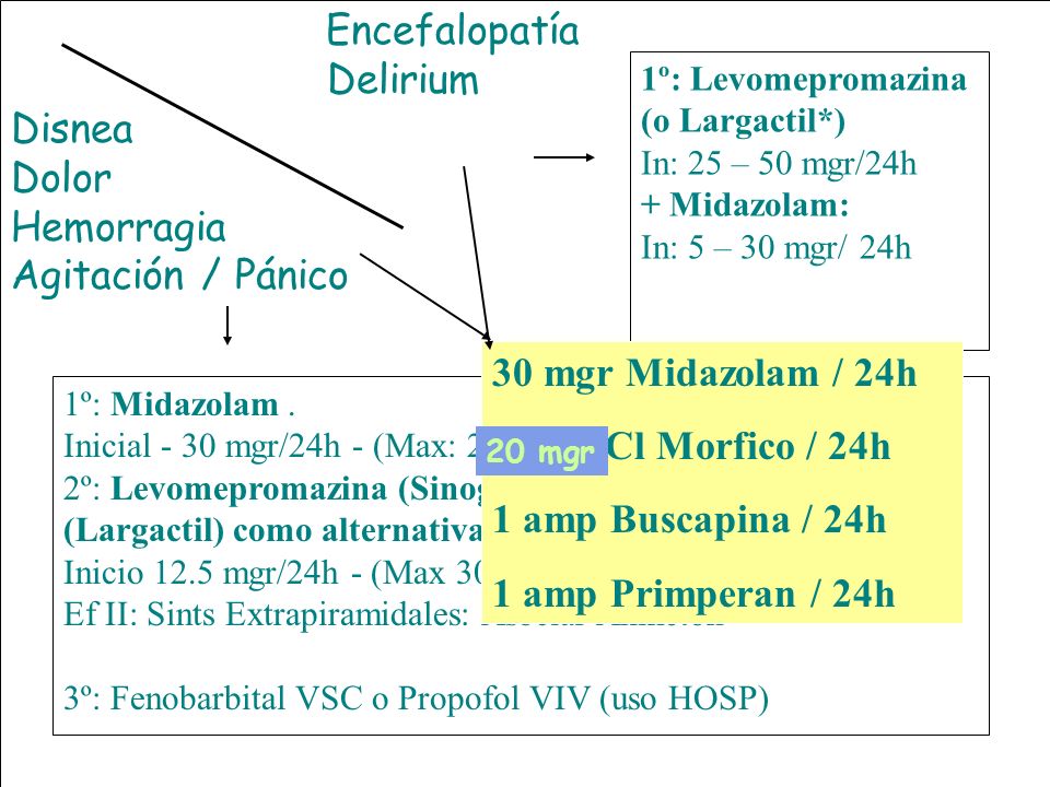 Encefalopatía Delirium. Disnea. Dolor. Hemorragia. Agitación / Pánico. SEDACION TERMINAL 3. 1º: Levomepromazina (o Largactil*)