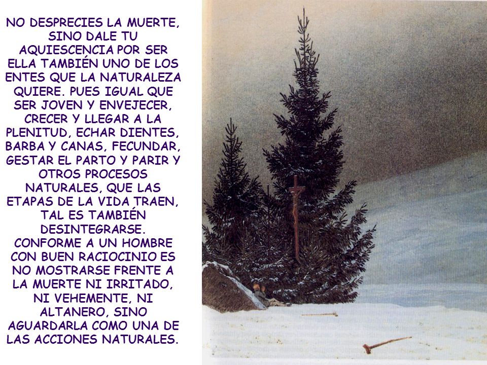 NO DESPRECIES LA MUERTE, SINO DALE TU AQUIESCENCIA POR SER ELLA TAMBIÉN UNO DE LOS ENTES QUE LA NATURALEZA QUIERE.