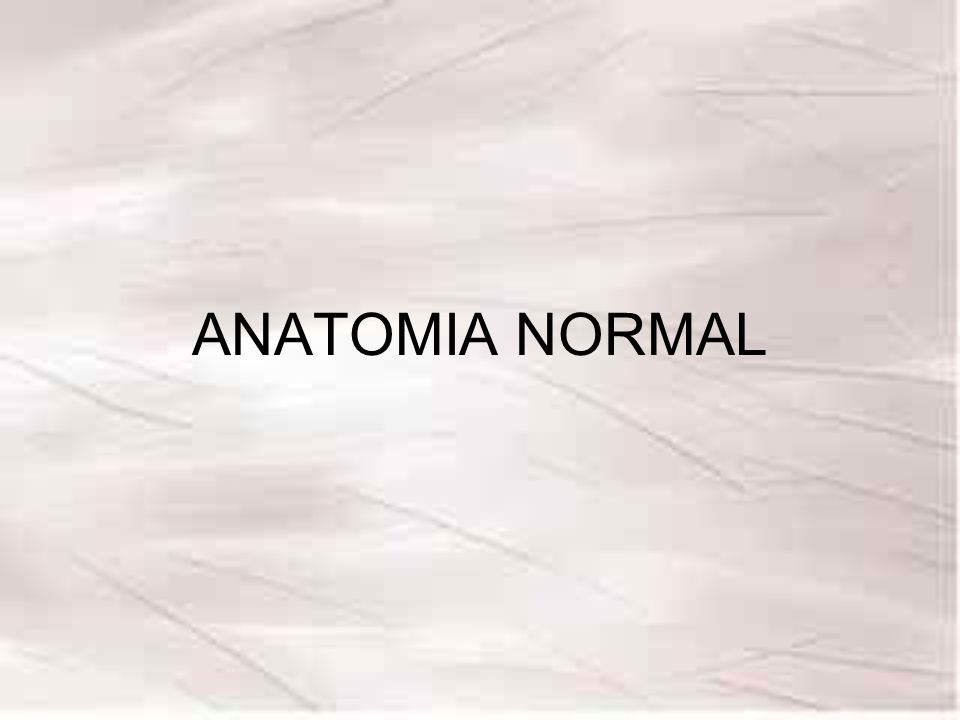 ANATOMIA NORMAL