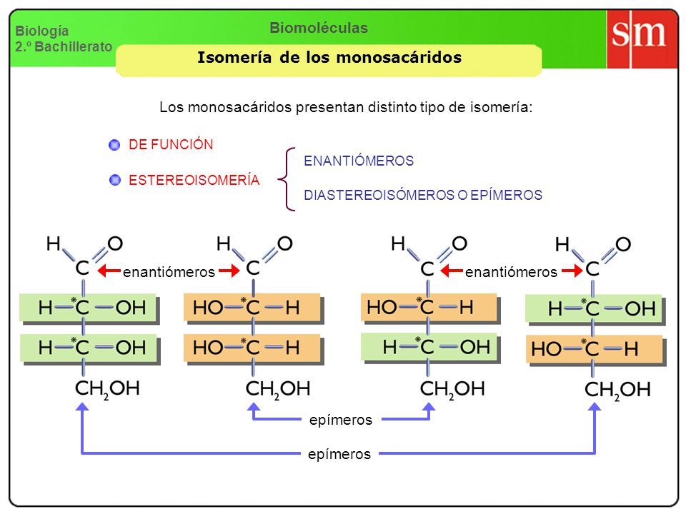 Isomería de los monosacáridos