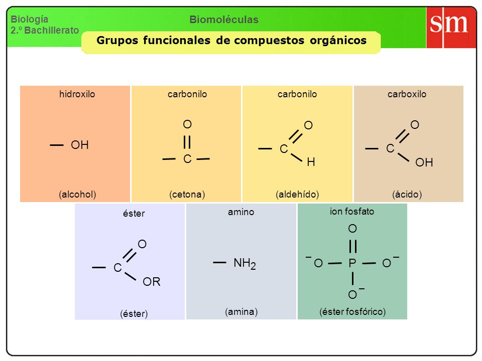 Grupos funcionales de compuestos orgánicos
