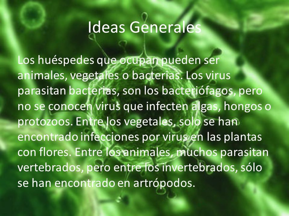 Ideas Generales