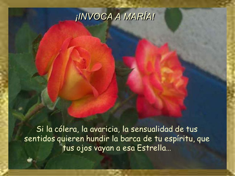 ¡INVOCA A MARÍA! Si la cólera, la avaricia, la sensualidad de tus sentidos quieren hundir la barca de tu espíritu, que tus ojos vayan a esa Estrella…