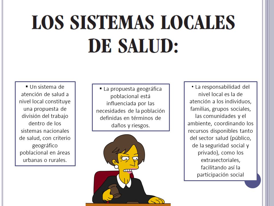 Un sistema de atención de salud a nivel local constituye una propuesta de división del trabajo dentro de los sistemas nacionales de salud, con criterio geográfico poblacional en áreas urbanas o rurales.