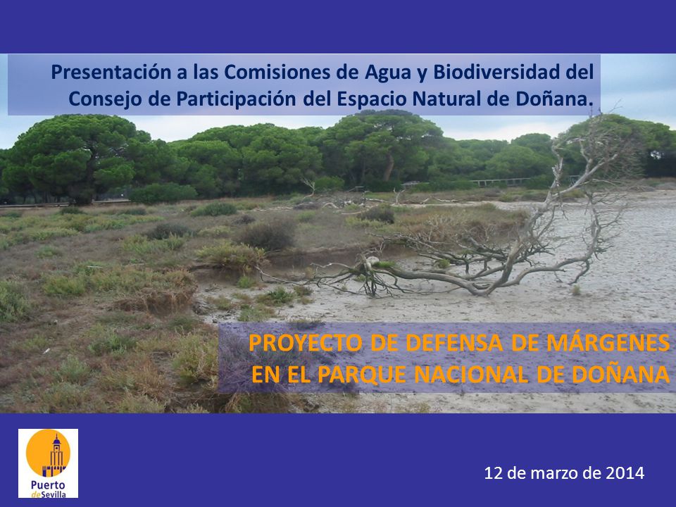 PROYECTO DE DEFENSA DE MÁRGENES EN EL PARQUE NACIONAL DE DOÑANA