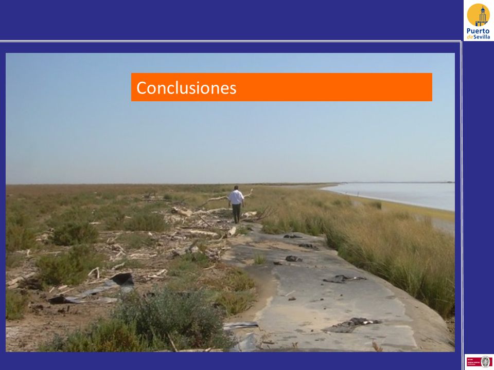 Conclusiones Altura para no condicionar el intercambio de agua entre estuario y marisma (protección del levé)