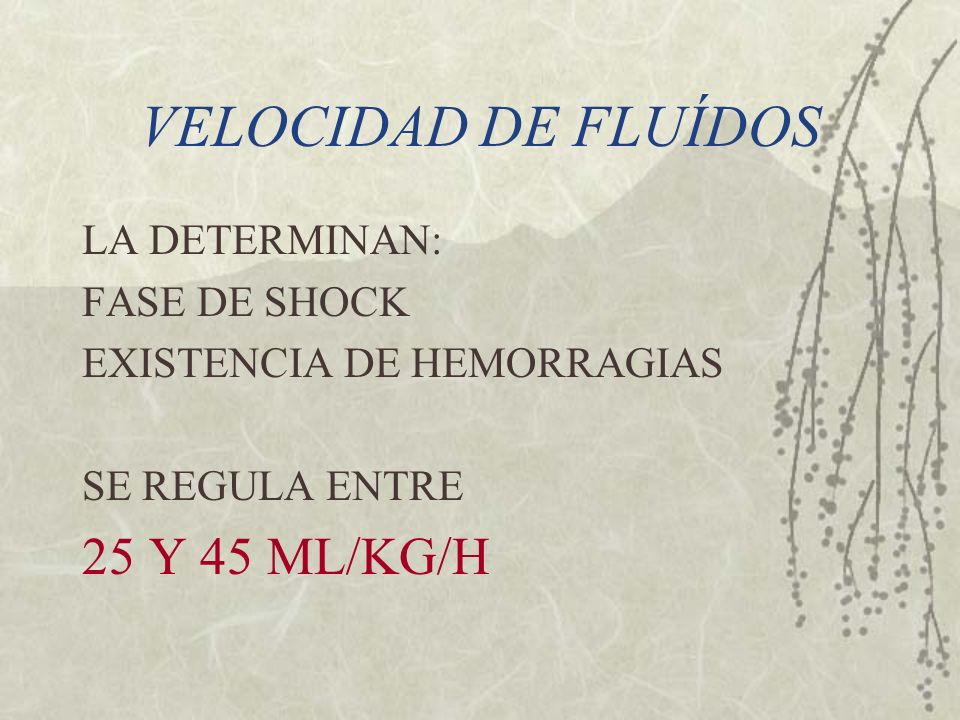 VELOCIDAD DE FLUÍDOS 25 Y 45 ML/KG/H LA DETERMINAN: FASE DE SHOCK
