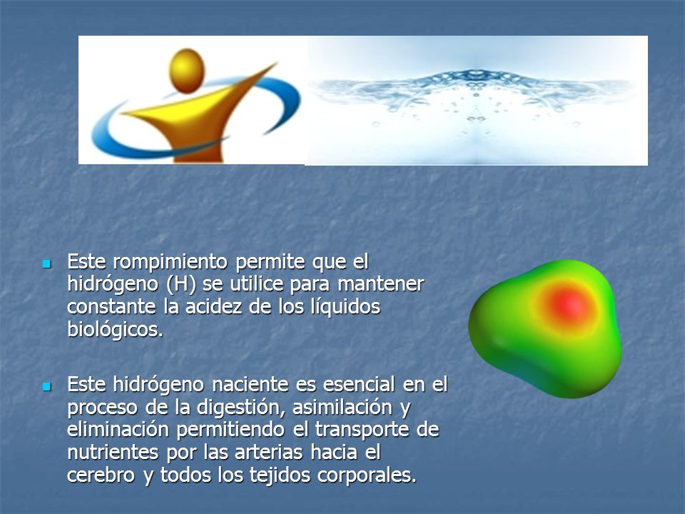 Este rompimiento permite que el hidrógeno (H) se utilice para mantener constante la acidez de los líquidos biológicos.