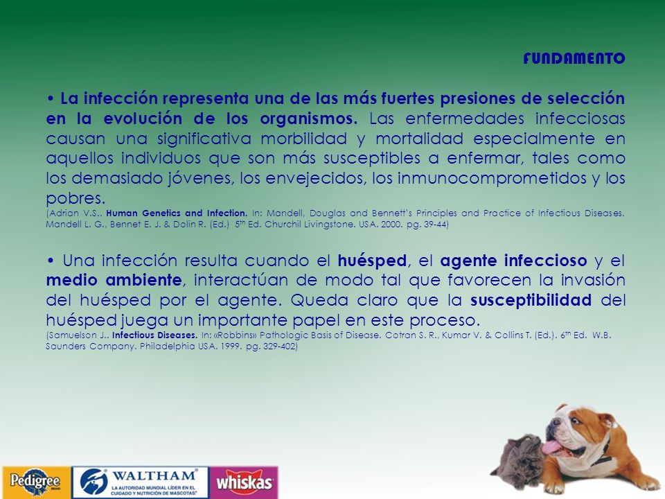 FUNDAMENTO