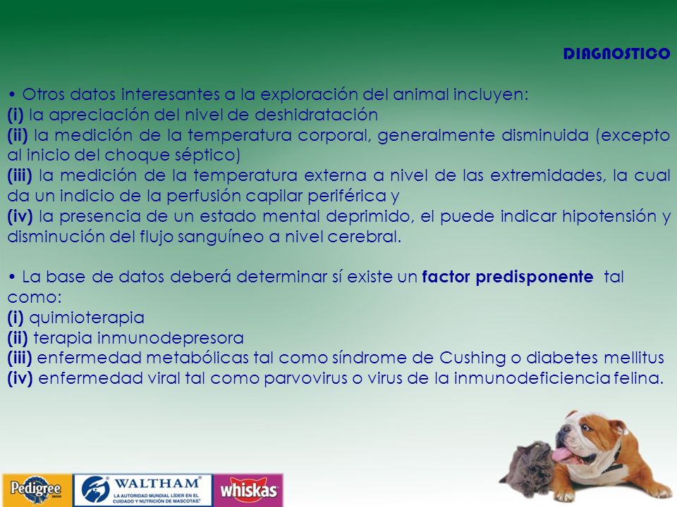 DIAGNOSTICO • Otros datos interesantes a la exploración del animal incluyen: (i) la apreciación del nivel de deshidratación.
