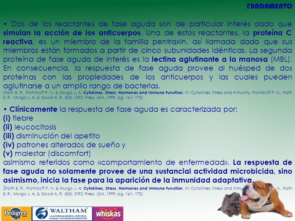 • Clínicamente la respuesta de fase aguda es caracterizada por: