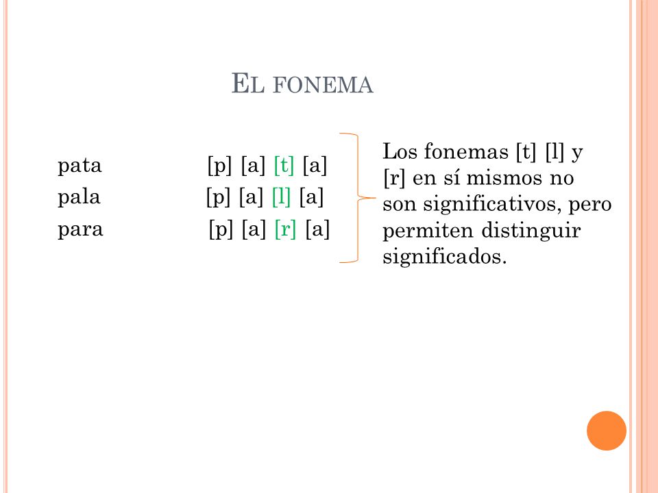 El fonema pata [p] [a] [t] [a] pala [p] [a] [l] [a] para [p] [a] [r] [a]