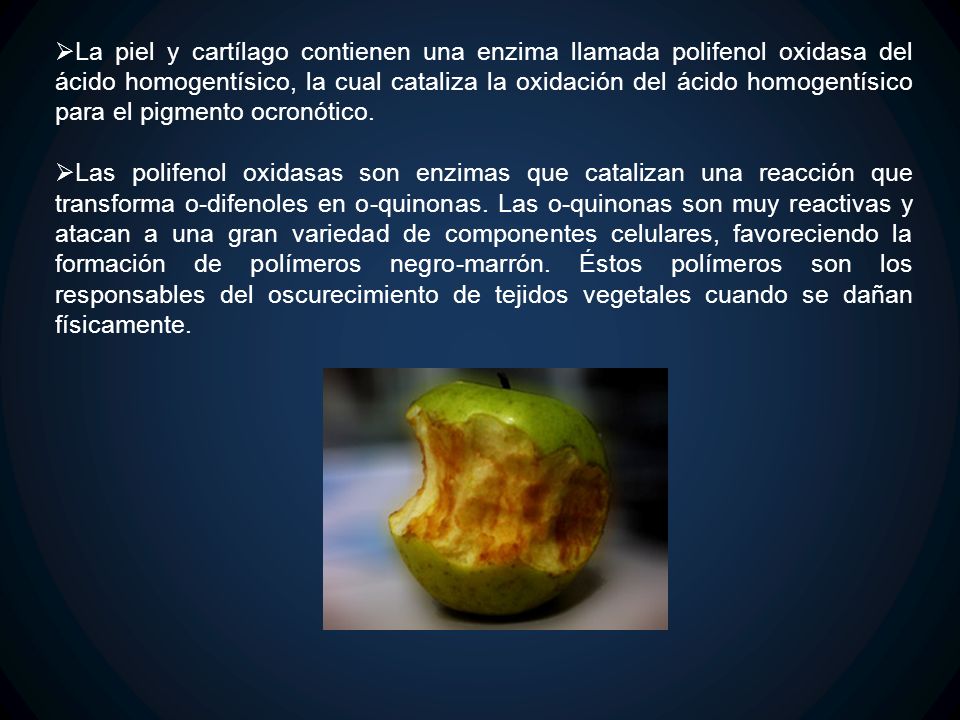 La piel y cartílago contienen una enzima llamada polifenol oxidasa del ácido homogentísico, la cual cataliza la oxidación del ácido homogentísico para el pigmento ocronótico.