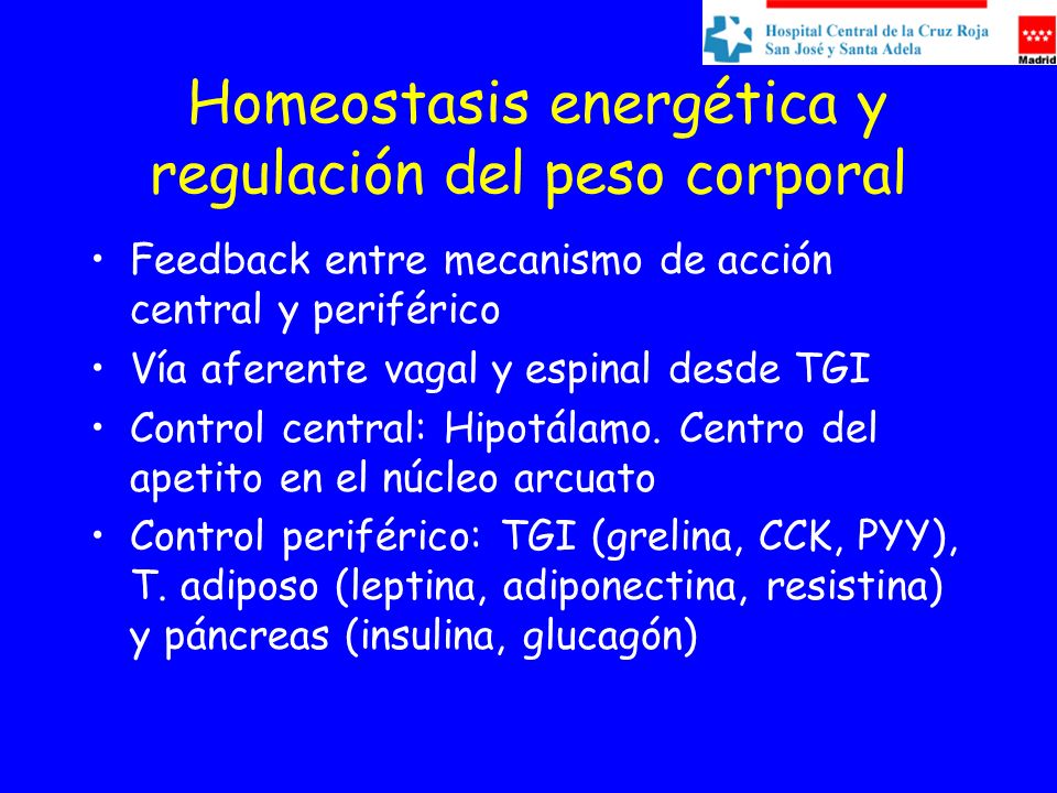 Homeostasis energética y regulación del peso corporal