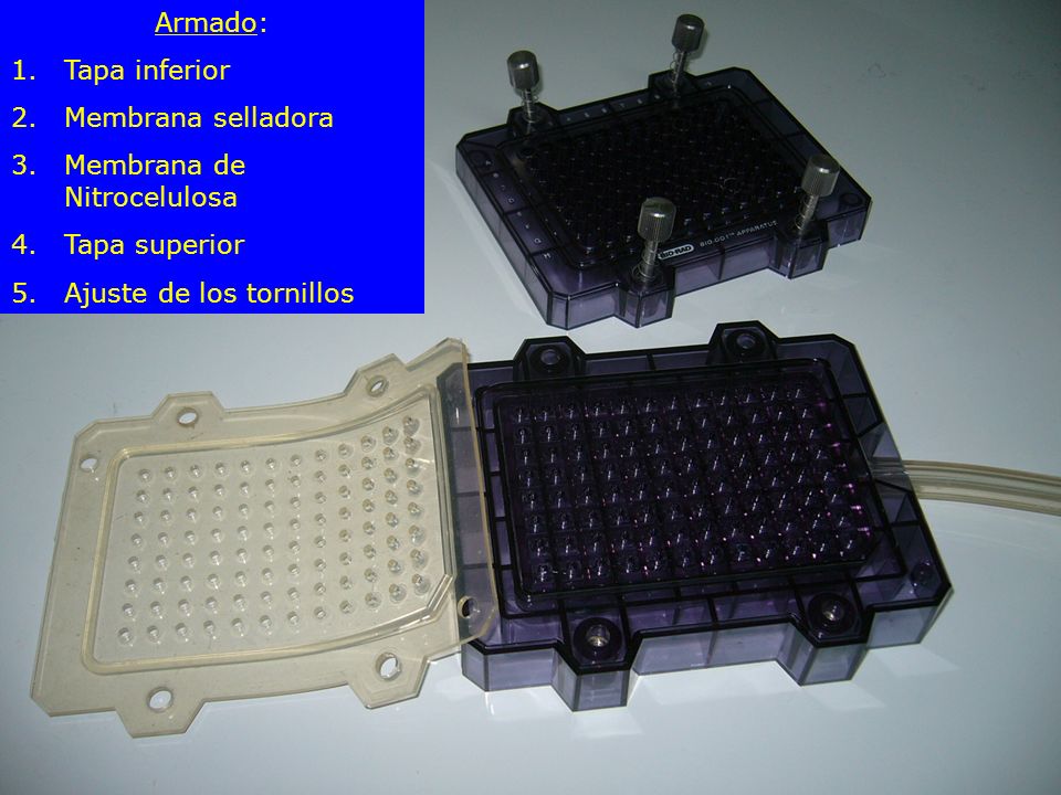 Armado: Tapa inferior. Membrana selladora. Membrana de Nitrocelulosa.