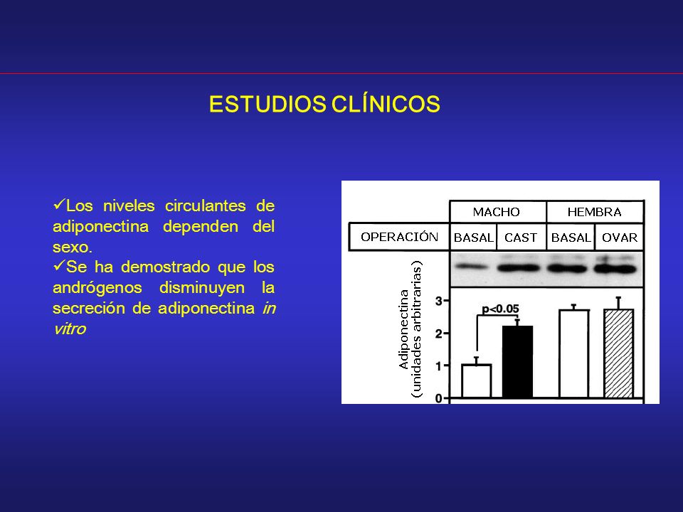 ESTUDIOS CLÍNICOS Los niveles circulantes de adiponectina dependen del sexo.