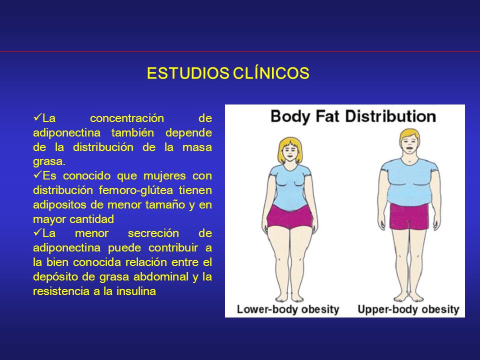 ESTUDIOS CLÍNICOS La concentración de adiponectina también depende de la distribución de la masa grasa.