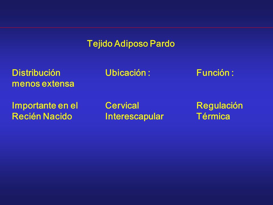 Tejido Adiposo Pardo Distribución menos extensa. Importante en el. Recién Nacido. Ubicación : Cervical.