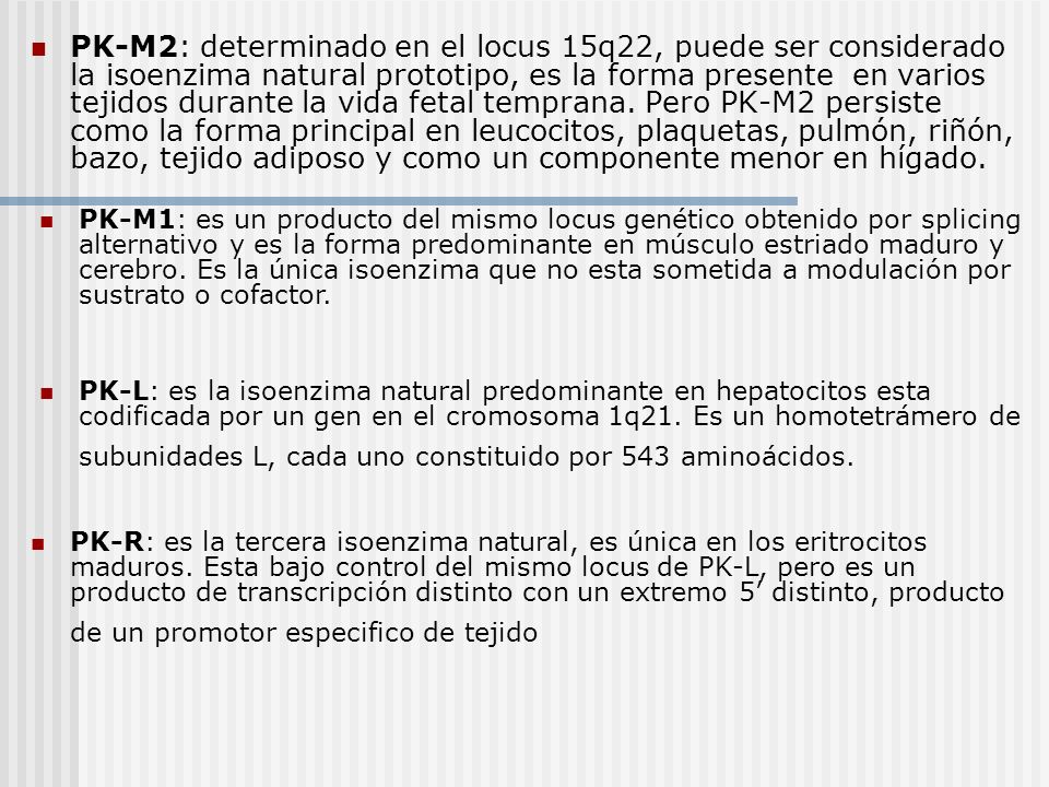 PK-M2: determinado en el locus 15q22, puede ser considerado la isoenzima natural prototipo, es la forma presente en varios tejidos durante la vida fetal temprana. Pero PK-M2 persiste como la forma principal en leucocitos, plaquetas, pulmón, riñón, bazo, tejido adiposo y como un componente menor en hígado.