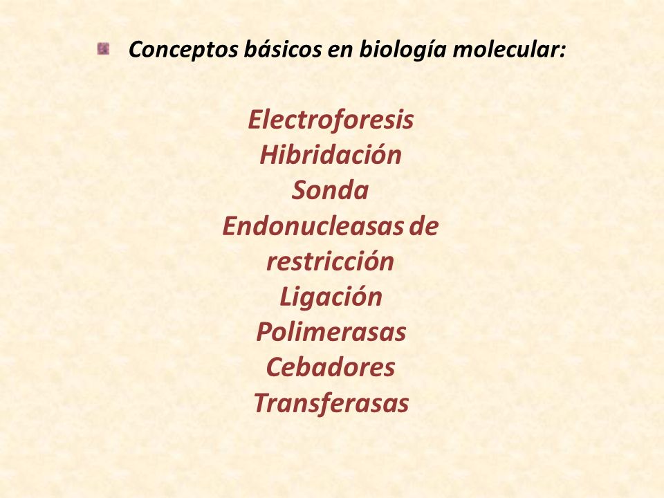 Conceptos básicos en biología molecular: Endonucleasas de restricción