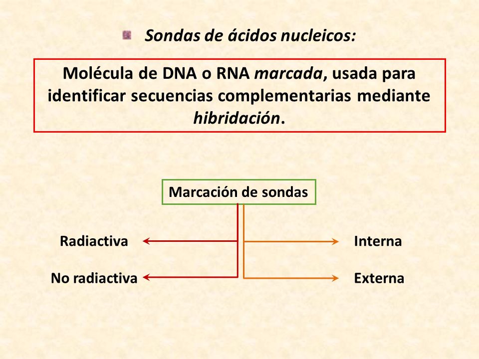 Sondas de ácidos nucleicos: