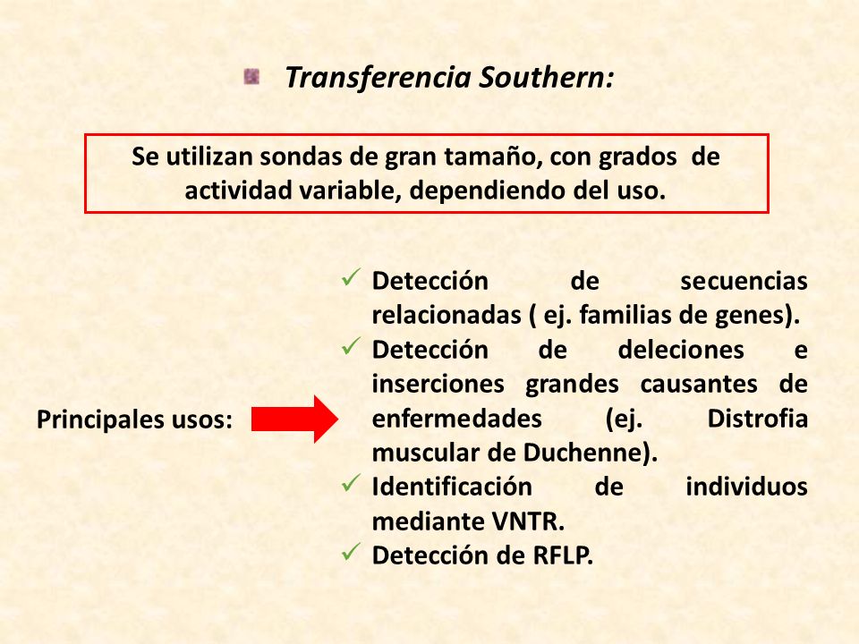 Transferencia Southern: