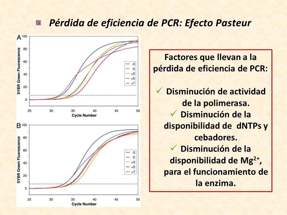 Pérdida de eficiencia de PCR: Efecto Pasteur