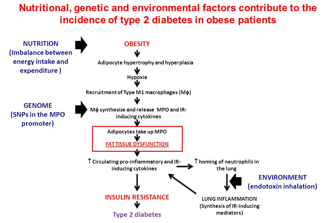 Nutritional, genetic and environmental factors contribute to the incidence of type 2 diabetes in obese patients