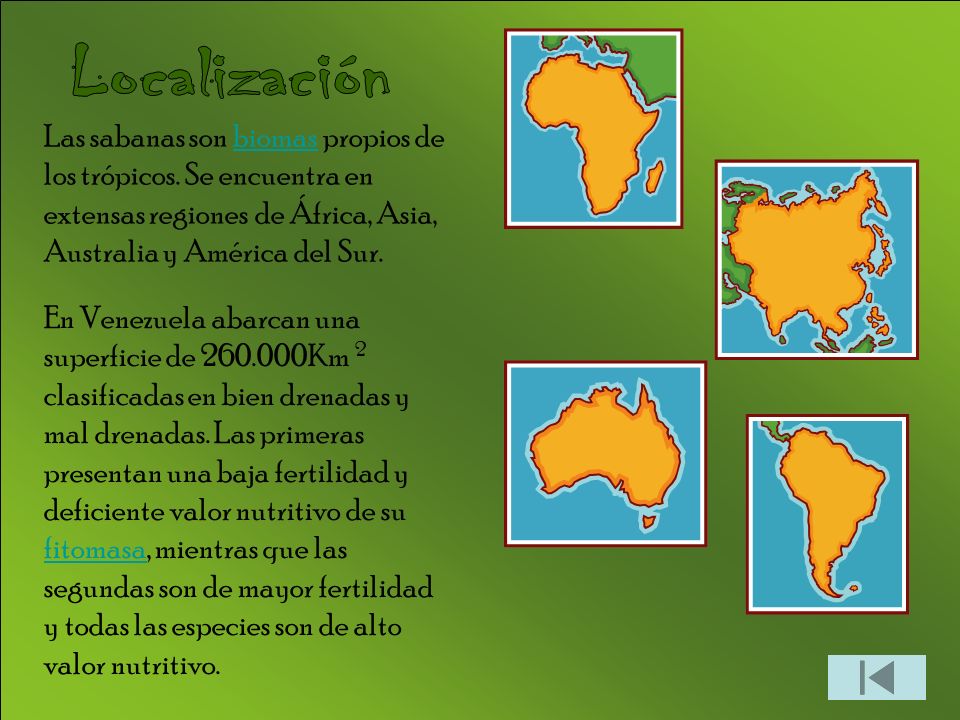 Localización Las sabanas son biomas propios de los trópicos. Se encuentra en extensas regiones de África, Asia, Australia y América del Sur.