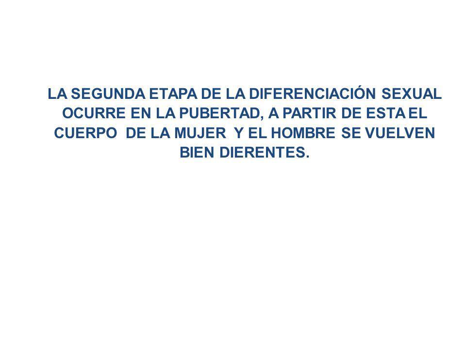 LA SEGUNDA ETAPA DE LA DIFERENCIACIÓN SEXUAL OCURRE EN LA PUBERTAD, A PARTIR DE ESTA EL CUERPO DE LA MUJER Y EL HOMBRE SE VUELVEN BIEN DIERENTES.