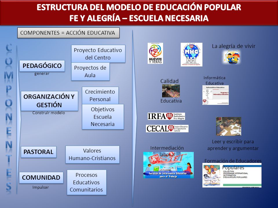 C O M P N E T S ESTRUCTURA DEL MODELO DE EDUCACIÓN POPULAR