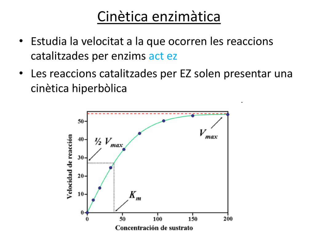 Cinètica enzimàtica Estudia la velocitat a la que ocorren les reaccions catalitzades per enzims act ez.