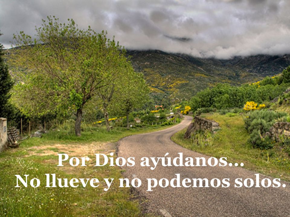 Por Dios ayúdanos... No llueve y no podemos solos.