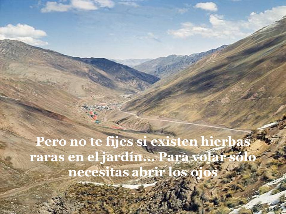 Pero no te fijes si existen hierbas raras en el jardín